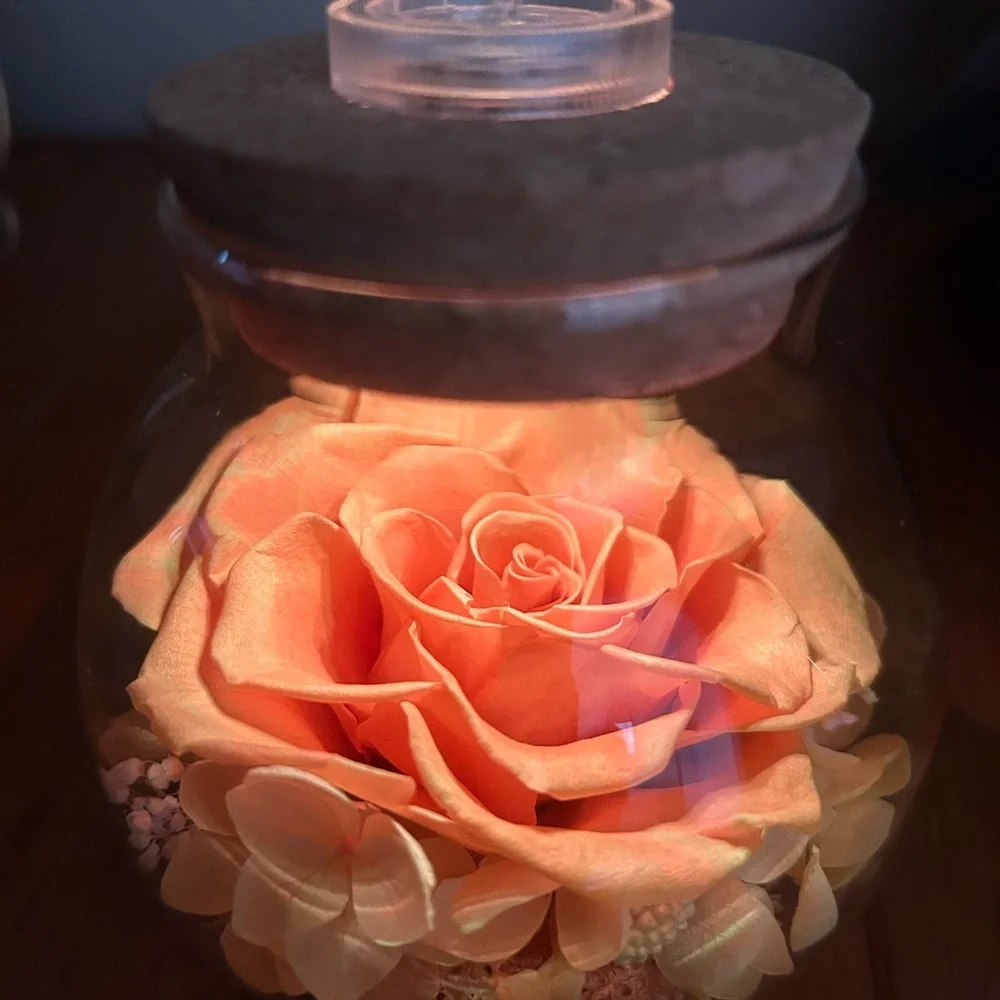 NWT Roliys Preserved/Eternal Rose